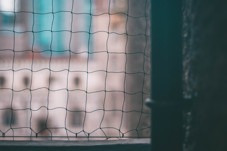 How to Install Weep Mesh Easily