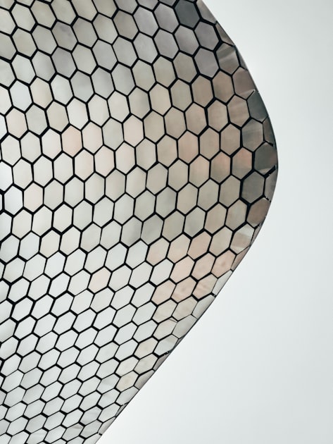 The Role of Weep Mesh in Home Maintenance